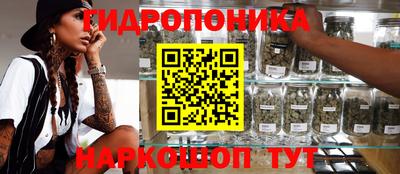 гашик Севастополь