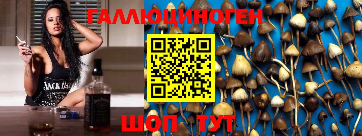 Печора  где купить наркоту  Вход с VPN  Галлюциногенные грибы MAGIC MUSHROOMS 