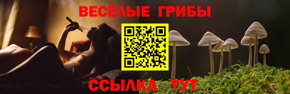 Псилоцибиновые грибы мухоморы Печора